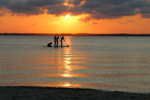 Free stock photo of paddleboard, sunset