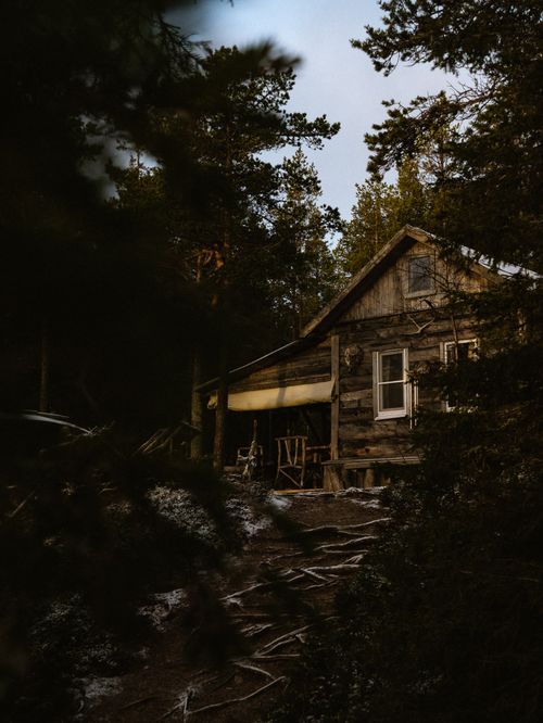 Free A cozy wooden cabin nestled in a dense forest setting, evoking tranquility and seclusion. Stock Photo