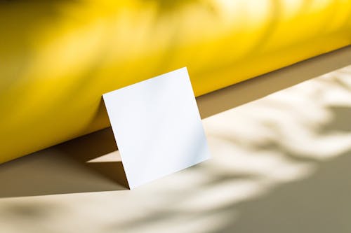 Free Blank Piece of Paper in Sunlight  Stock Photo