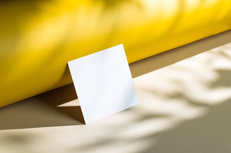 Blank Piece Of Paper In Sunlight 