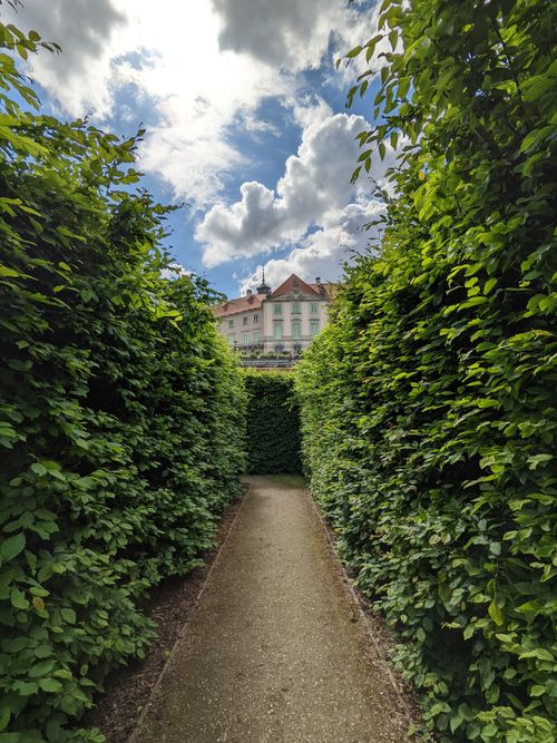 Free Explore a serene hedge-lined pathway under a blue sky at a Polish park. Stock Photo