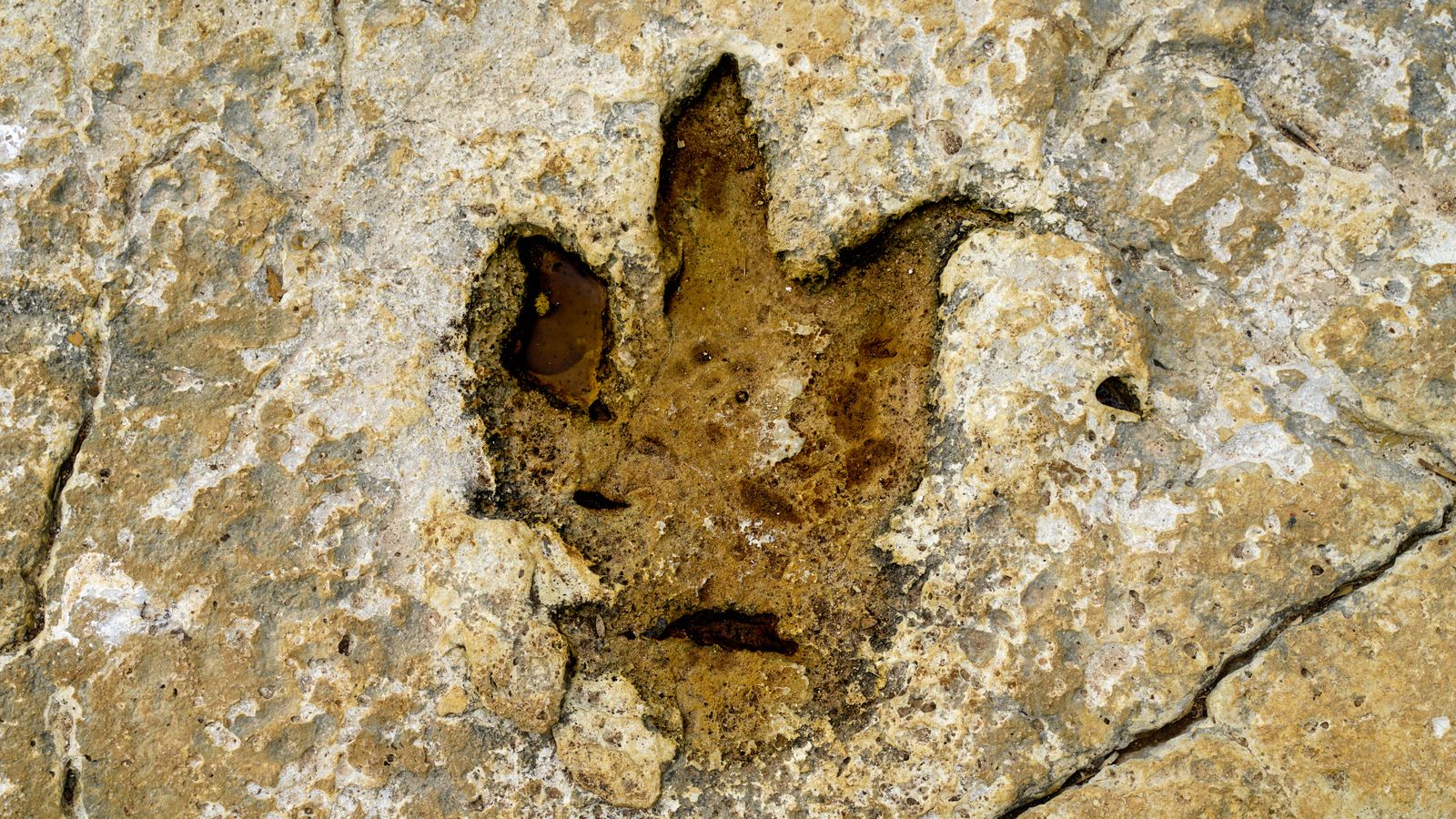 Footprint on the ground, Lesotho