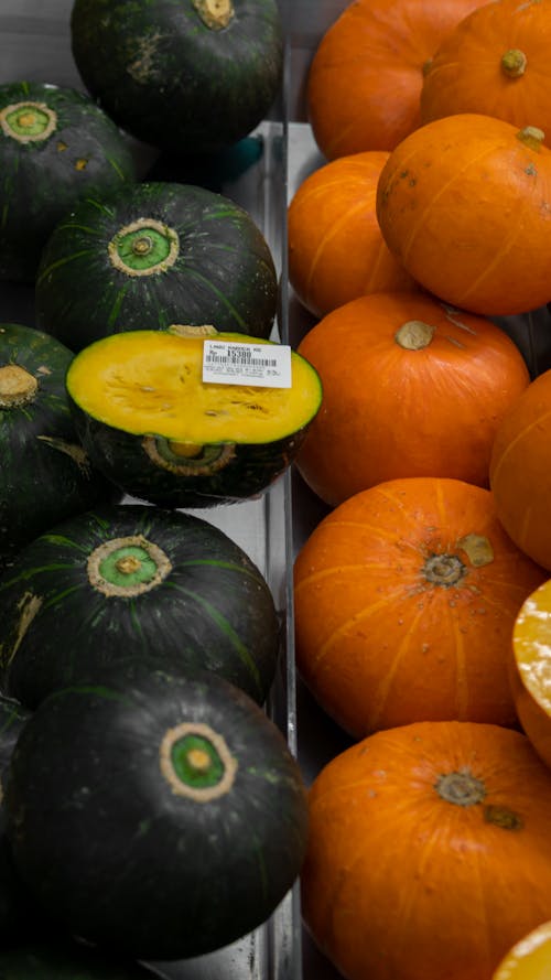Free Squahses and Pumpkins Stock Photo
