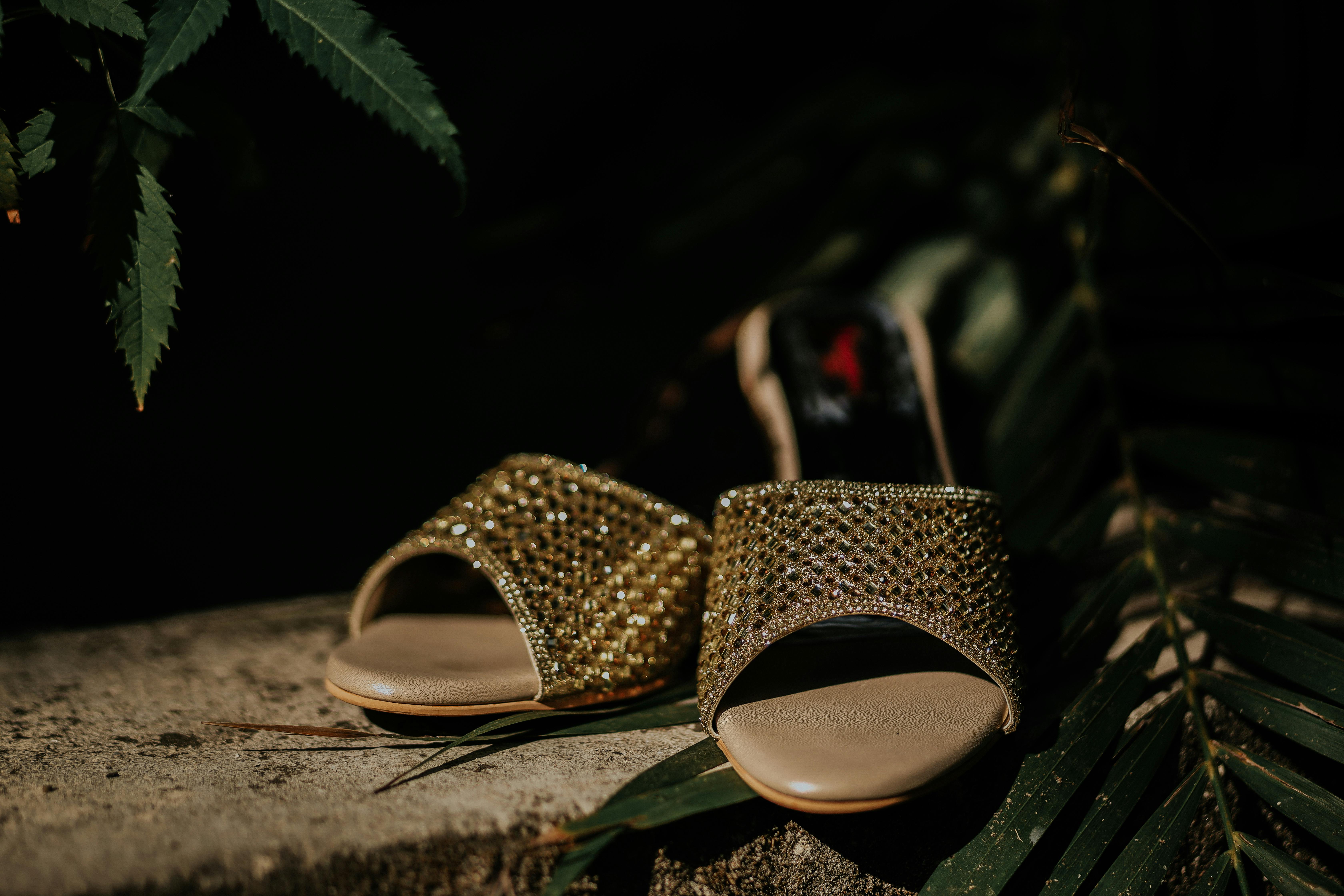 Golden Slipper Hires Lori Rubin as Executive Director — Photo by Ag  photography on Pexels
