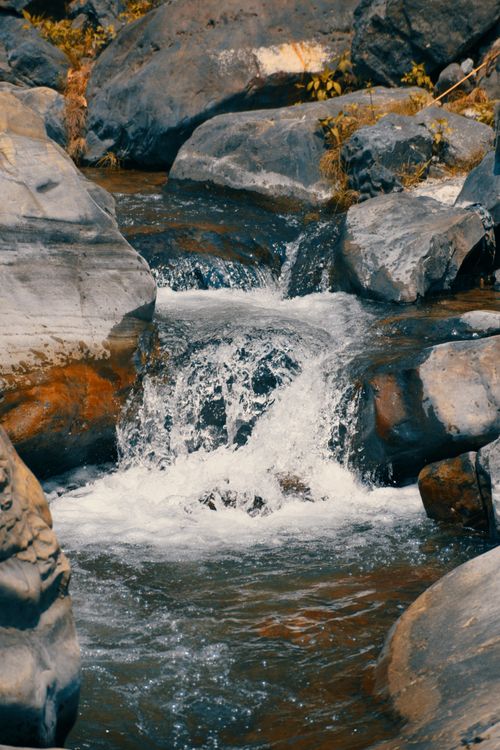 Free Peaceful stream cascading through rocks in Dehradun, India, showcasing nature's beauty. Stock Photo