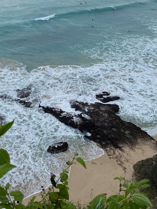 假期, 垂直拍攝, 夏天 的 免費圖庫相片