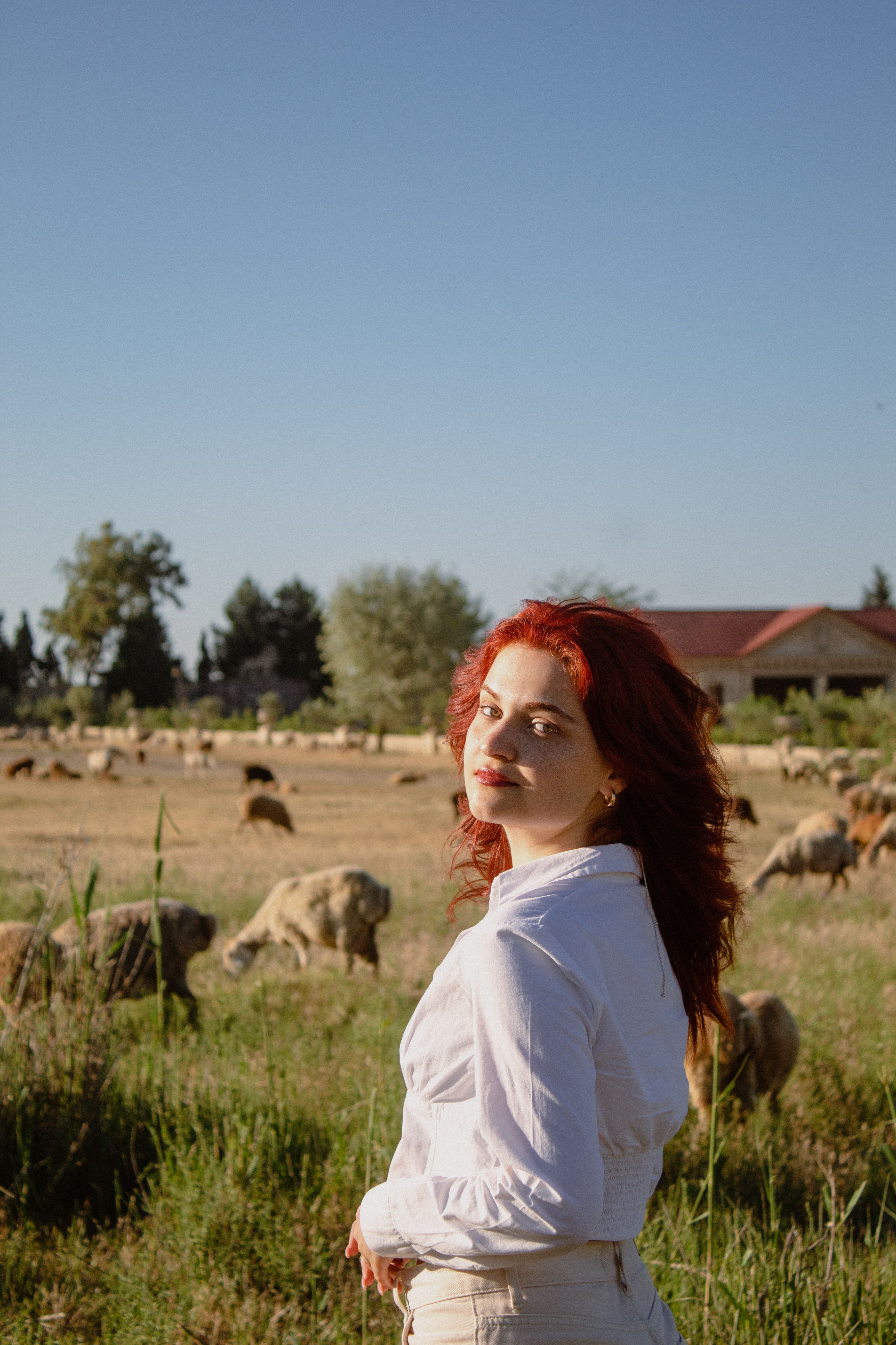 A Woman in White Long Sleeve Shirt · Free Stock Photo