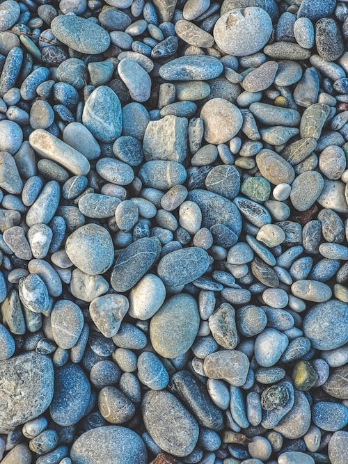 沙滩上的椭圆形石头