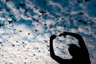 Woman in Black Tank Top Looking at Birds Flying Under Blue Sky