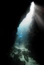 Dived Images