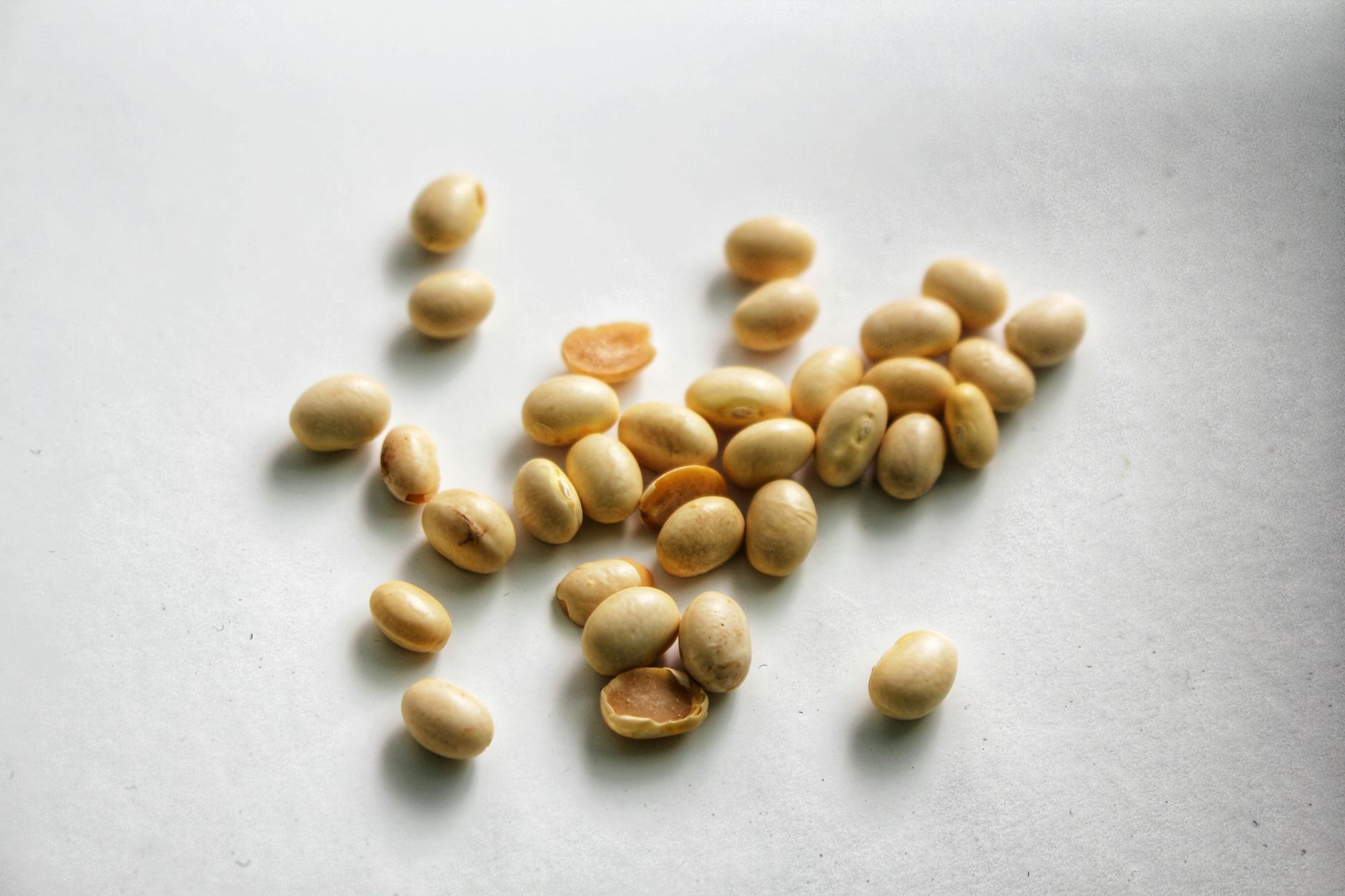 Close-up image of soybeans scattered on a white surface.