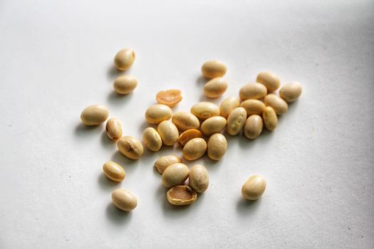 Protein Plus Soy Protein & Multigrain Cereal Benefit Nutrition
