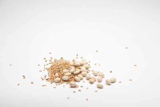 Brown and White Beans on White Surface