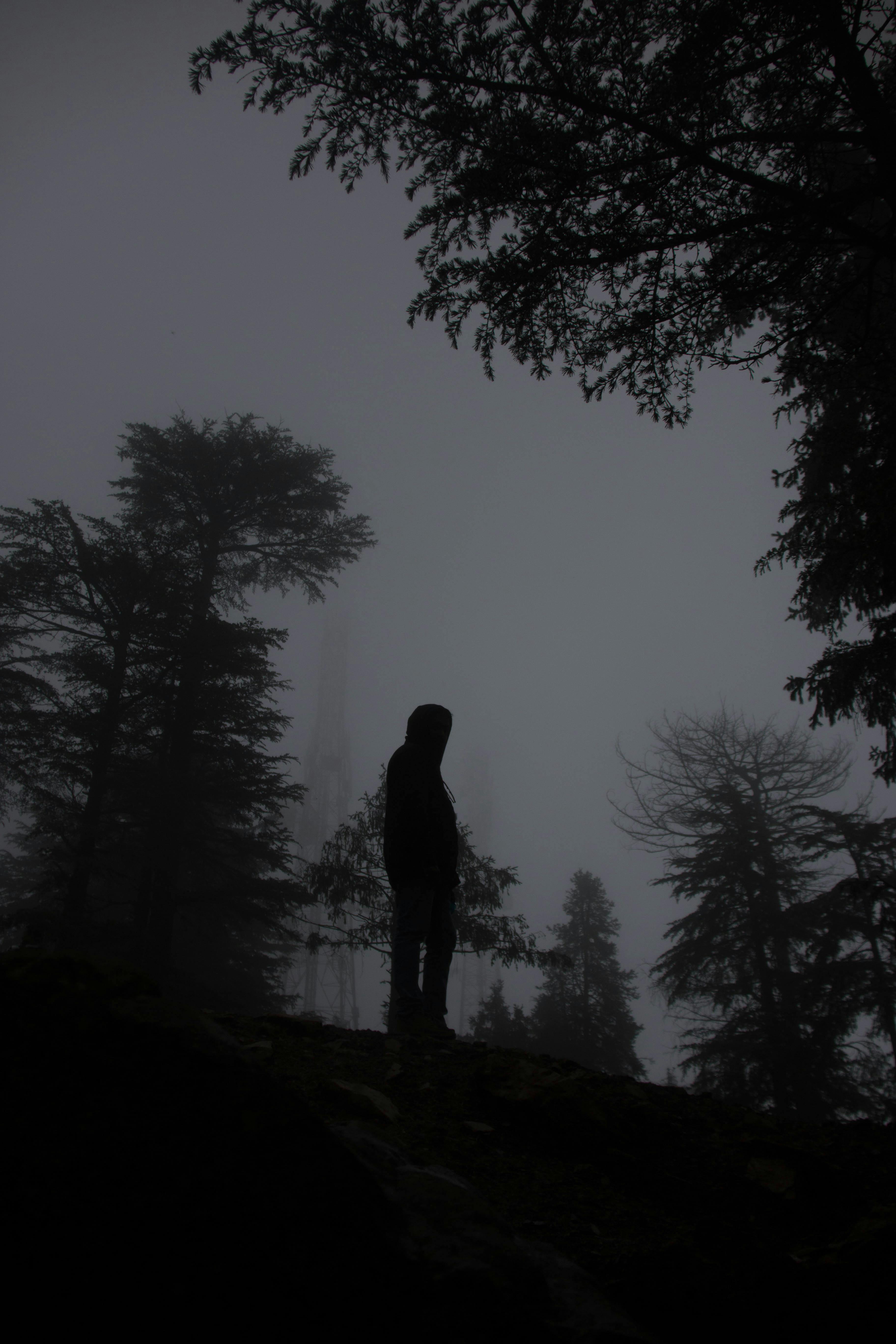 Free stock photo of #mist #man #nature #fog #shimla #india #himachal