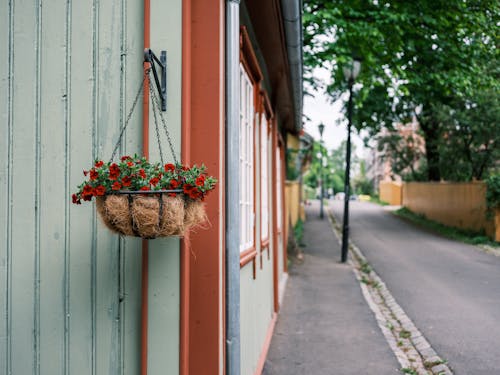 Red Flowers with Green Leaves Hanging on the Wall