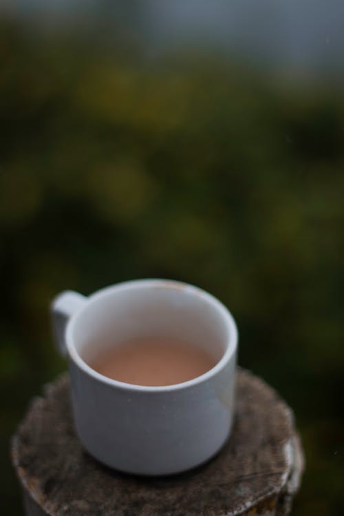 Free stock photo of cup, fog, mist