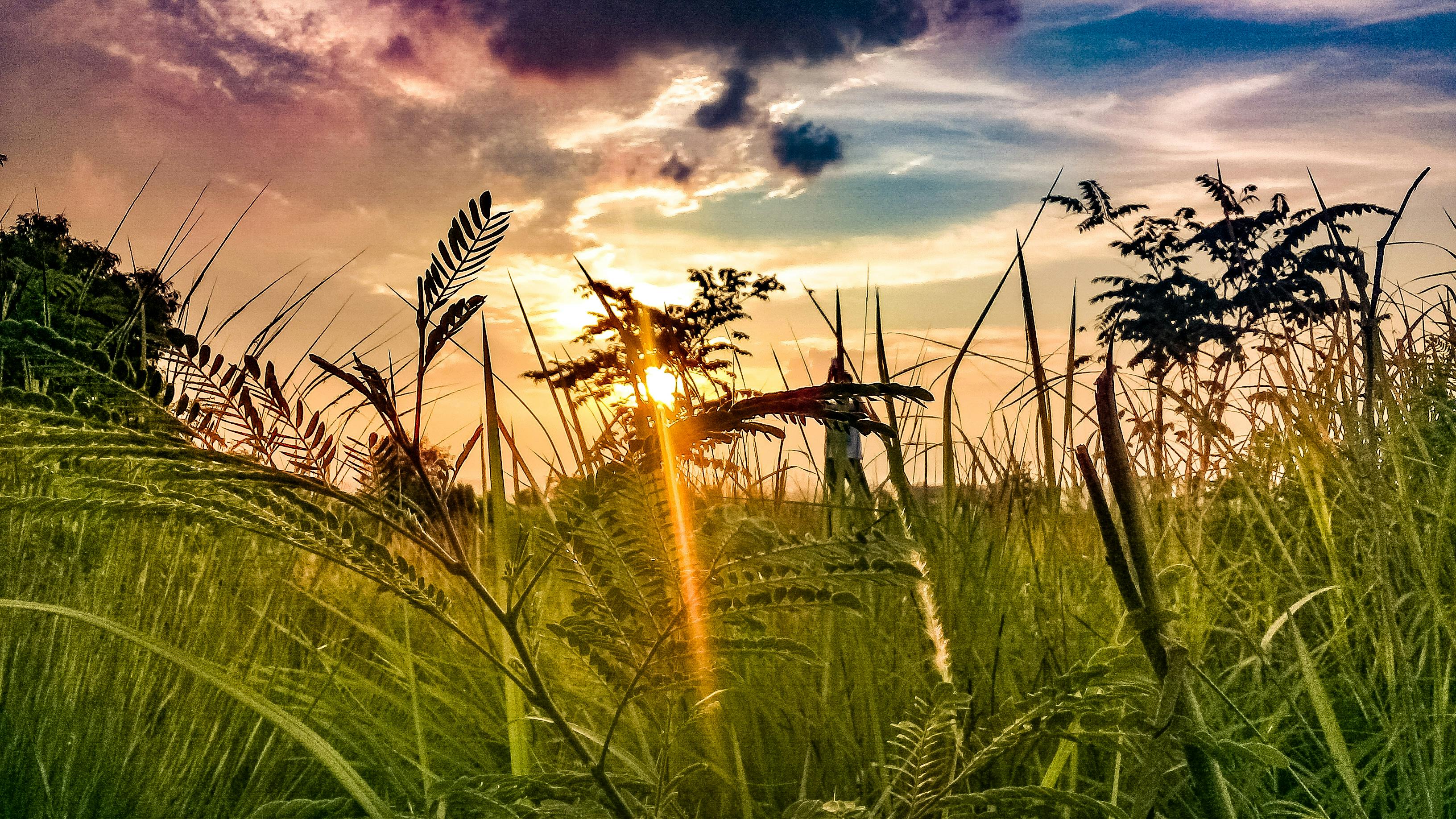 印尼人口模式_印尼人口构成柱状图图