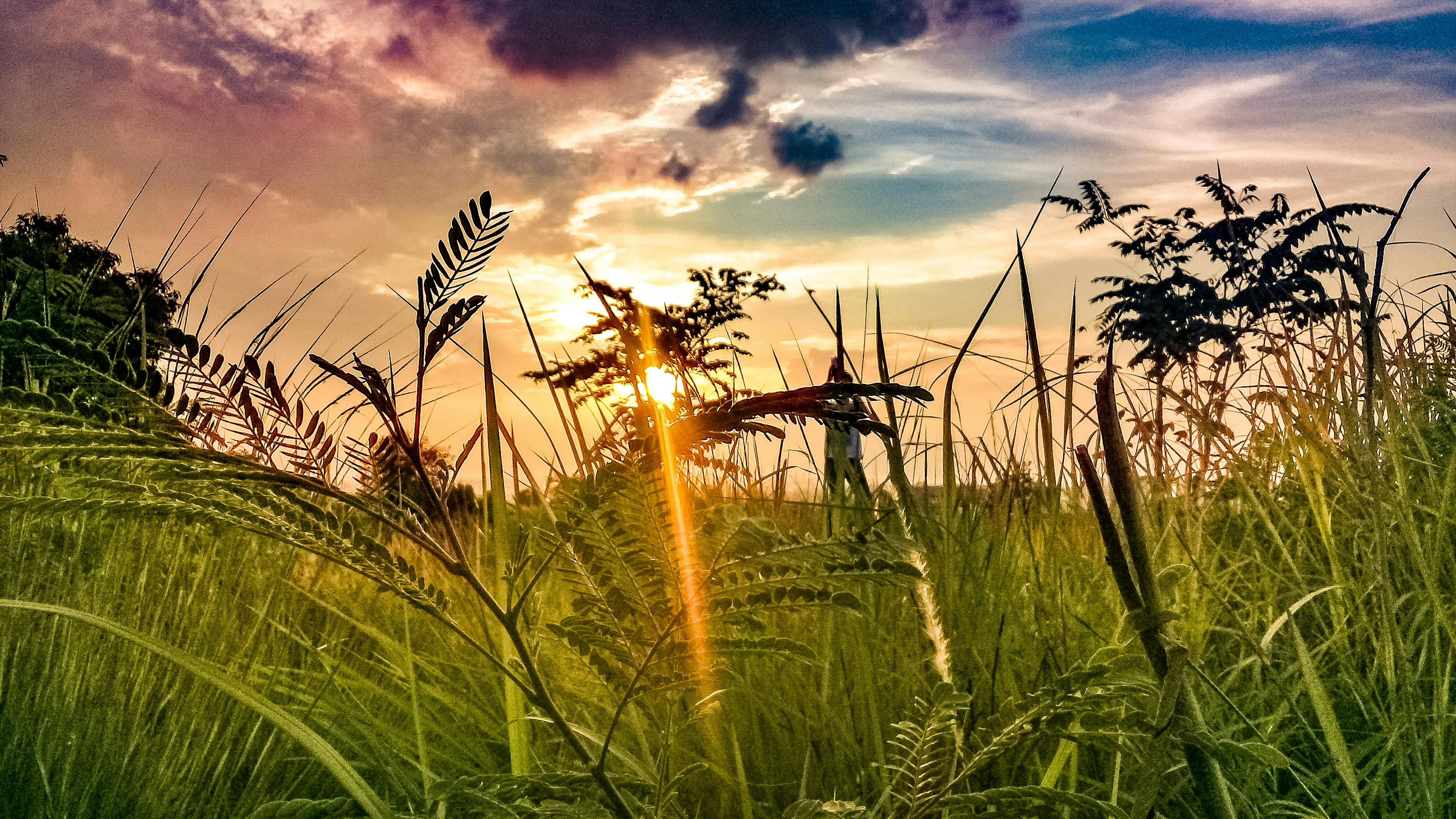 印尼人口模式_印尼人口构成柱状图图