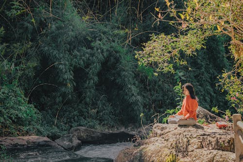 бесплатная Женщина, сидящая на коричневом камне возле зеленых листьев деревьев днем Стоковое фото