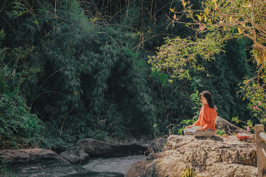 Женщина, сидящая на коричневом камне возле зеленых листьев деревьев днем