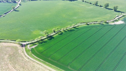 Foto profissional grátis de agricultura, área rural, fotografia aérea