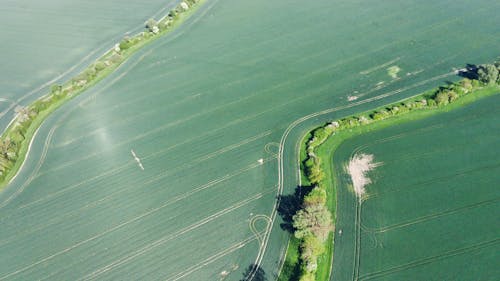 Foto stok gratis bidang, fotografi udara, hijau