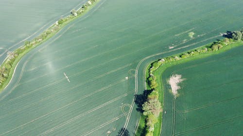 Aerial View of Green Grass Field 