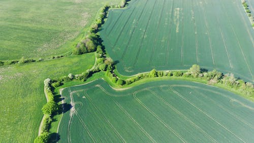 Aerial View of Green Grass Field