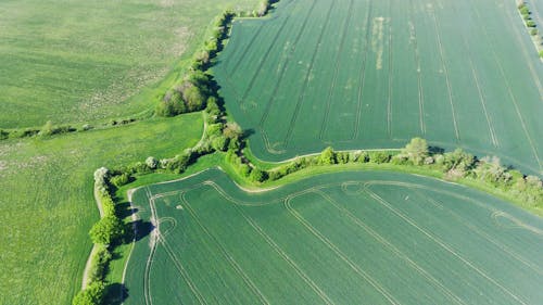 Gratis stockfoto met akkerland, bomen, dronefoto