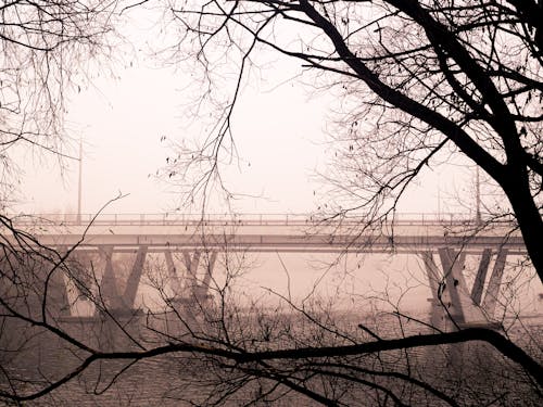 Fotobanka s bezplatnými fotkami na tému atmosfera de outono, foggy krajina, hmla