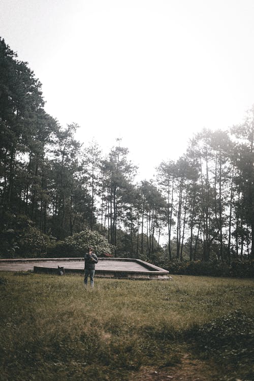 Free A Person Standing in the Wilderness Stock Photo