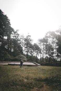 A lone person stands in a sunlight-drenched forest clearing, surrounded by tall trees.