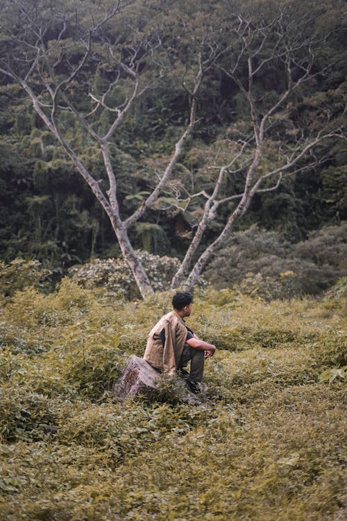 A Person Sitting in the Wilderness