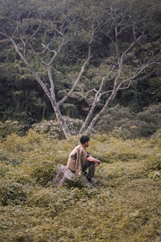 A person seated on a rock, surrounded by dense, vibrant forest landscape.