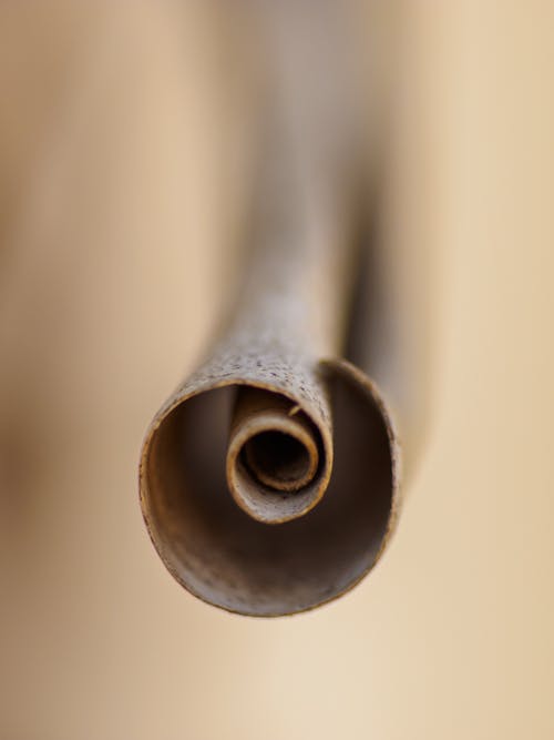 Close-up on Rolled up Tube