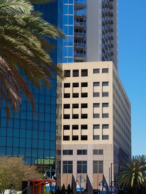 Green Palm Tree Near White Concrete Building