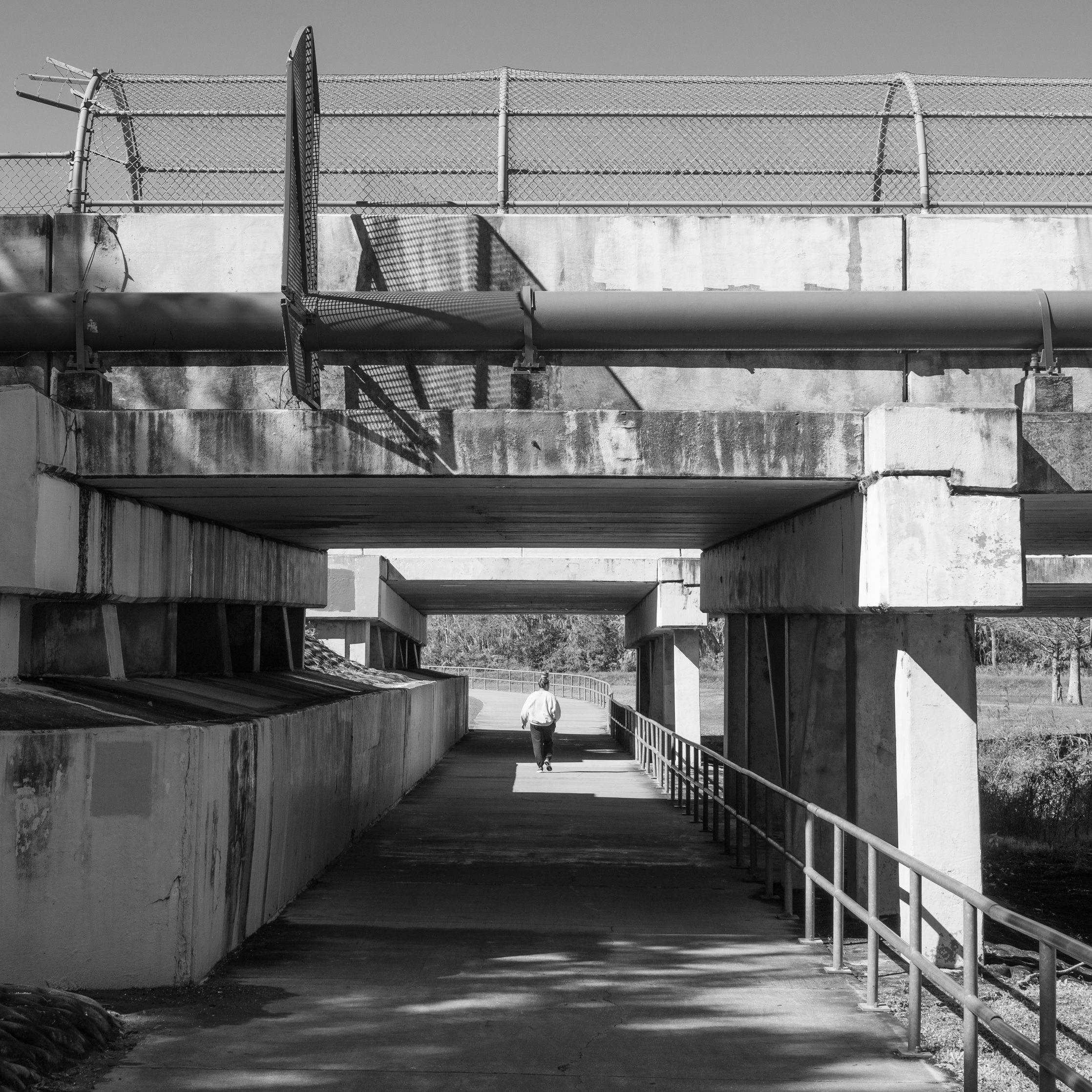 Grayscale Photo of Concrete Bridge Over a Walkway · Free Stock Photo