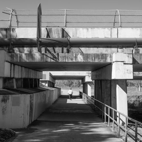 Free Grayscale Photo of Concrete Bridge Stock Photo