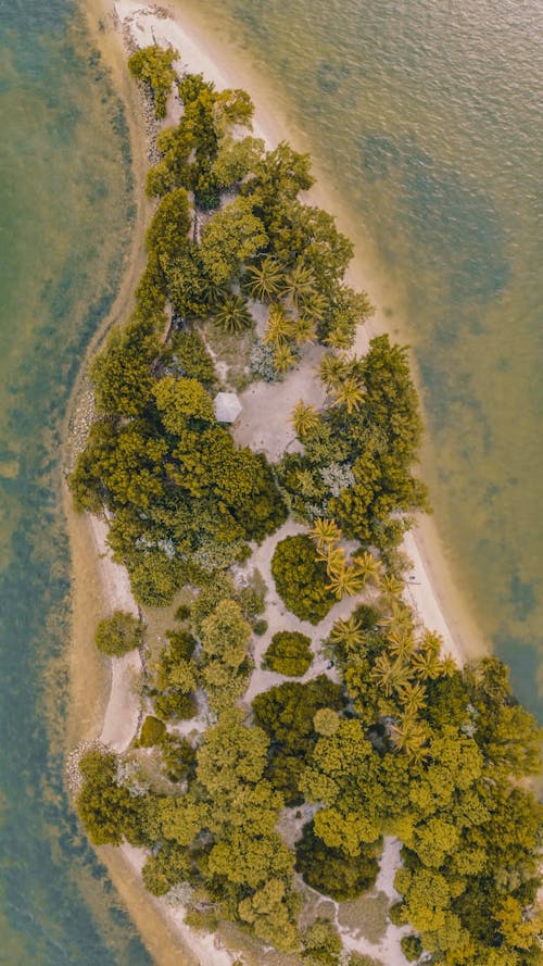 Birds Eye View of Pace Picnic Island
