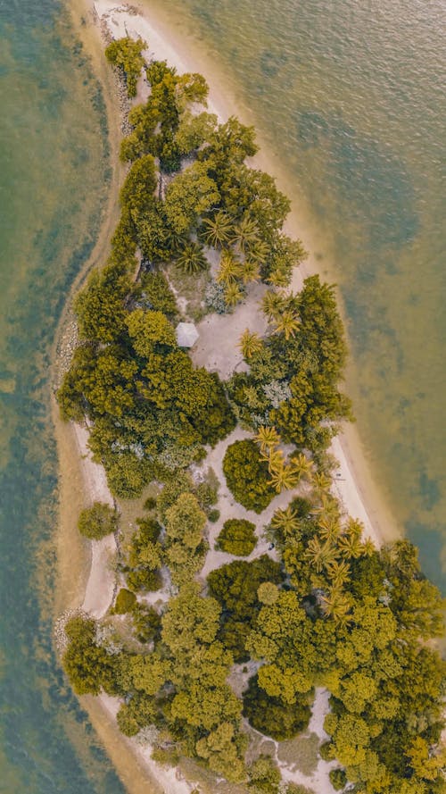 Free Birds Eye View of Pace Picnic Island Stock Photo