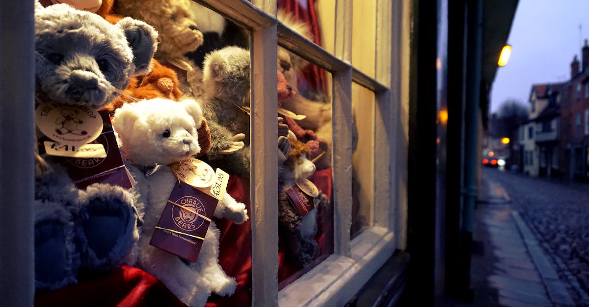 Assorted Color Bear Plush Toys Near Glass Window