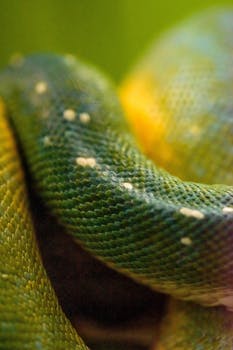 Detailed macro shot of a green tree python showcasing its vibrant scales and textures.