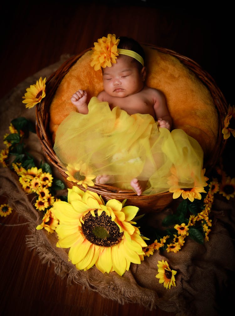 Newborn Baby Photoshoot In A Basket With Flowers 