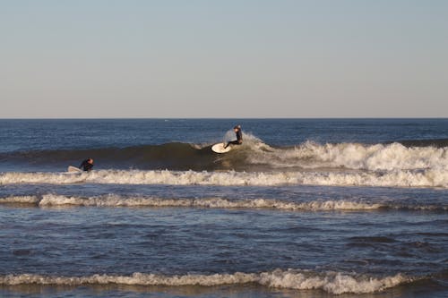 People Wearing Black Wetsuits while Surfing on the Beach