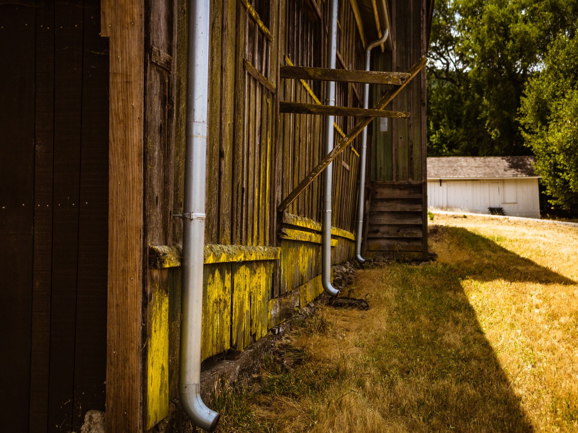 Fence and Decking Painting in Chislehurst, Bromley — garden fence being painted with weatherproof wood finish