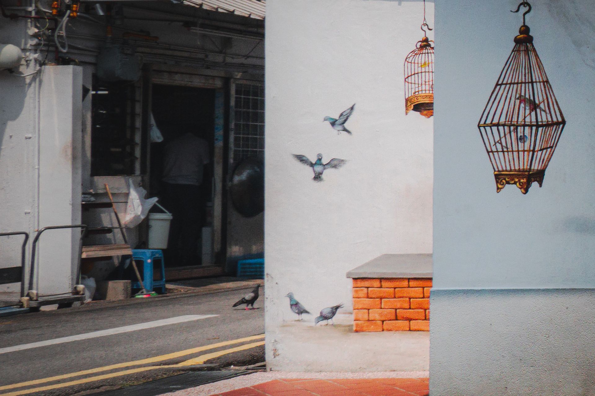 Colorful mural with bird cages and pigeons in a vibrant Singapore alleyway.