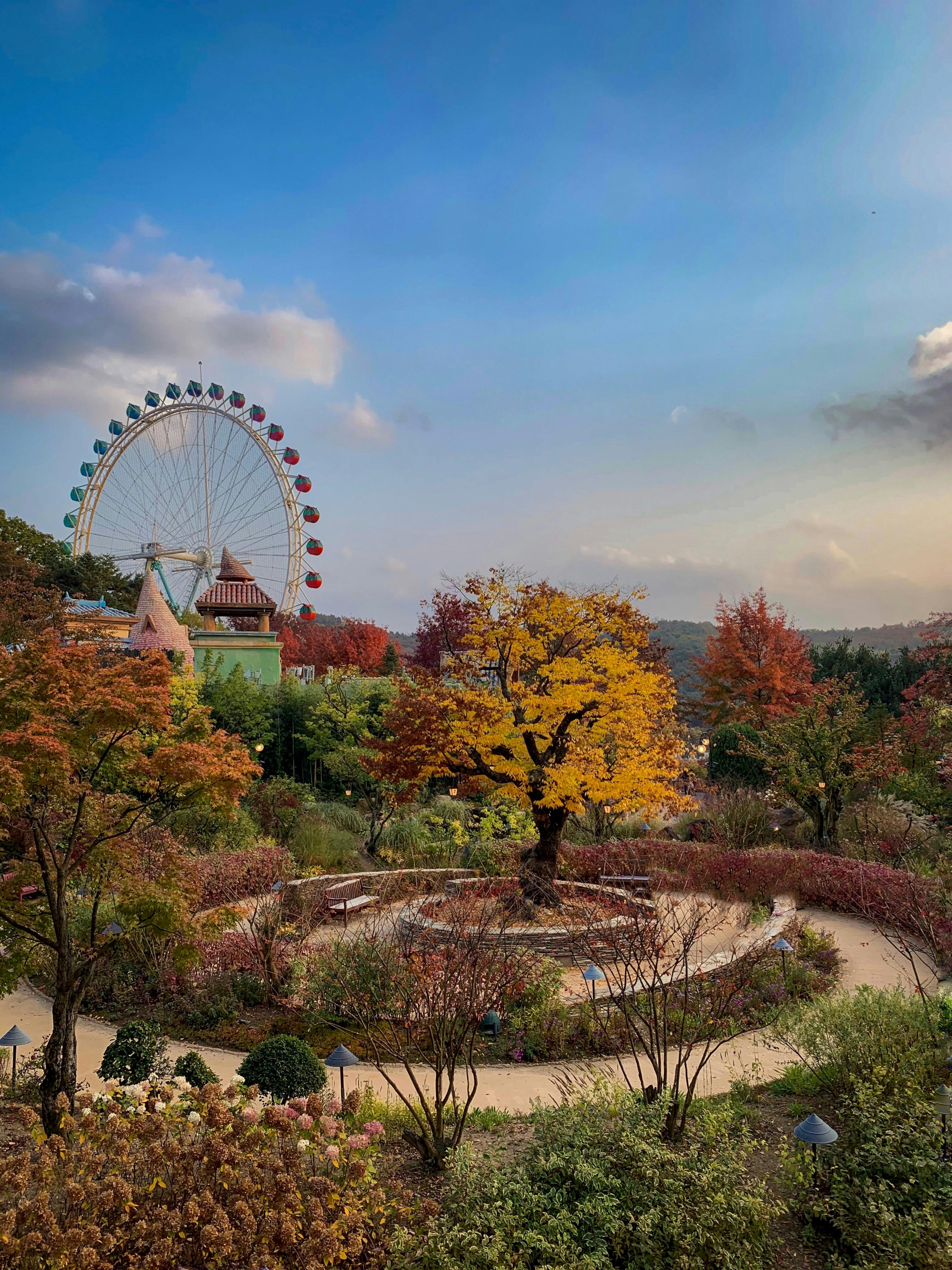 Everland Theme Park Korea 3D