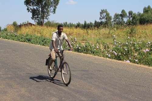 Foto d'estoc gratuïta de africà, anant amb bici, bici