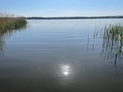 Kostenloses Stock Foto zu balaton, blauer see, lichtreflexion