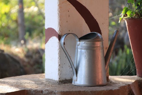 Photos gratuites de cafetière, fleurs